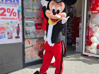 Mickey și Minnie Mouse / Микки и Минни маус аниматоры / animatori mascote Moldova foto 6