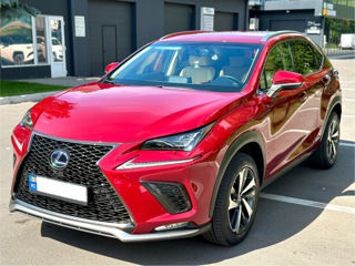 Lexus NX Series