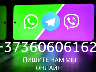 Зооперевозка для кошек. Переноска предоставляются бесплатно. Viber Whatsapp Telegram. foto 4