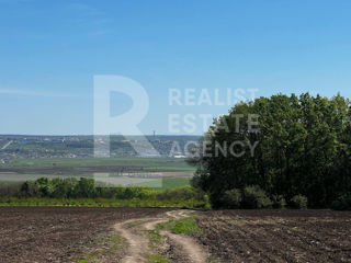 Teren, 84 ha, satul Seliște, Orhei foto 8