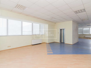 Chirie, oficiu, Sculeni, str. Calea Ieșilor, 640 m.p, 5740€ foto 9