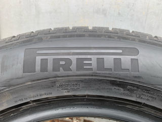 R18/55/255 Pirelli (Iarna) foto 6