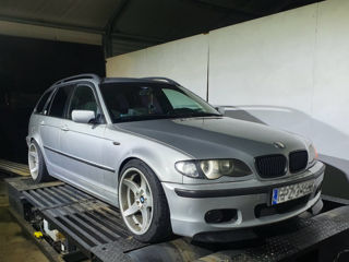 Rondell 0021 фото 8