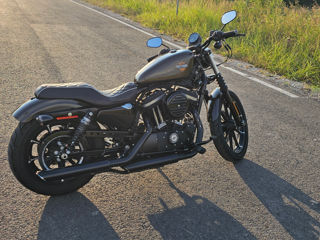 Harley - Davidson Sportster IRON 883