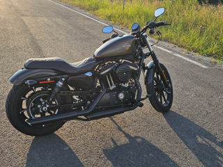 Harley - Davidson Sportster Iron 883 foto 1