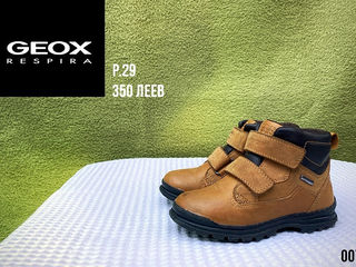 Geox, Keen, Lowa, Ecco, Fila, Primigi, Bama, Elefanten, Ricosta. Размер 29-30. foto 5