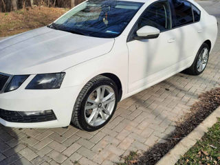 Skoda Octavia foto 4