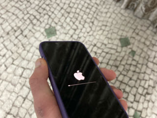 iPhone 13 Urgent!!