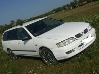 Nissan Primera foto 1