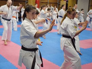 Karate copii  6-12 ani Ciocana foto 1