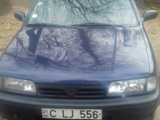 Nissan Primera foto 1