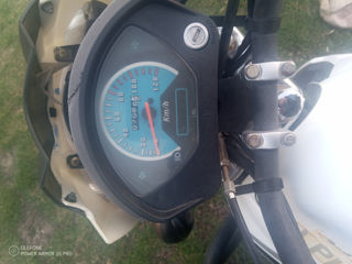 Alpha Moto Alpha