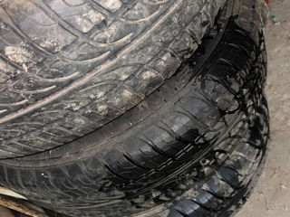 шины скаты 195/65 R15 foto 1