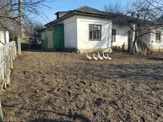 Casa - Capriana urgent numai 35 km de la Chisinau foto 3