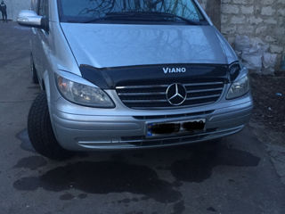 Mercedes Viano foto 2