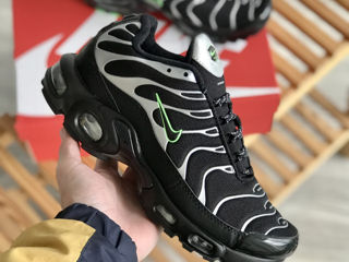 Nike Air Max Tn Zebra