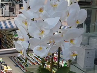 Искусственные цветы орхидея для домашнего декора./Flori artificiali foto 7