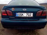 Nissan Primera foto 3