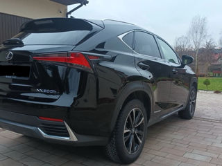 Lexus NX Series foto 7