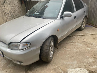 Hyundai Accent foto 6