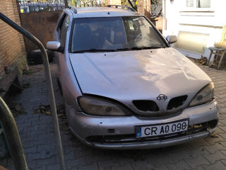 Nissan Primera foto 2