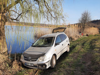 Nissan Almera Tino foto 4