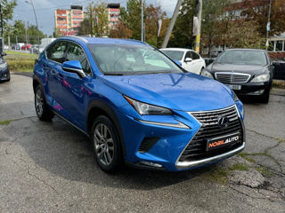 Lexus NX Series