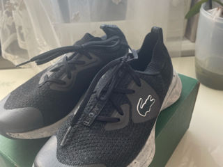 Lacoste adidasi foto 0