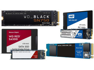 Dispozitive de stocare SSD, Samsung, Patriot, Kingston, HyperX, Transcend doar la ShopIT foto 1