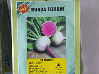 Seminte de legume Turcia