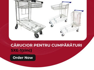 Carucior SuperMarket si Cosuri Cumparaturi