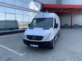Mercedes Spriner