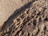 плитняк Косэуц, бут, галька, песок, щебень. foto 1