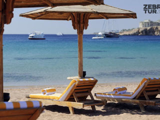 Egipt, Sharm El Sheikh - Naama Bay Promenade Beach Resort 5* foto 5