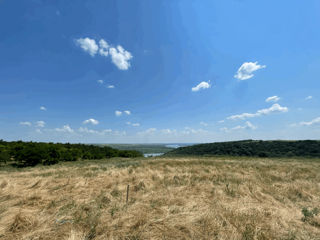 Teren agricol 1ha - vedere la Nistru s. Viscauti, certificat urbanism Agropensiune, 51mp constructie foto 4