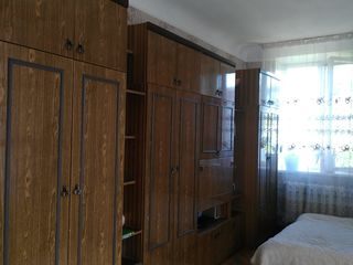 Cauta i fata plata