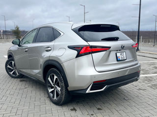 Lexus NX Series foto 4