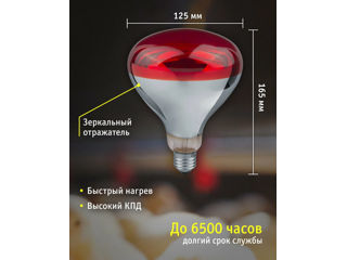 Lampă cu infraroșu pentru încălzirea păsărilor și animalelor NAVIGATOR, reflector R125, 150 W, E27 L foto 6