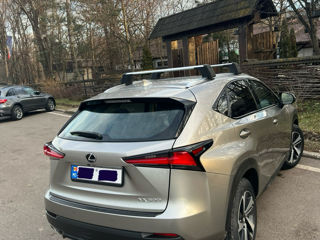 Lexus NX Series foto 4