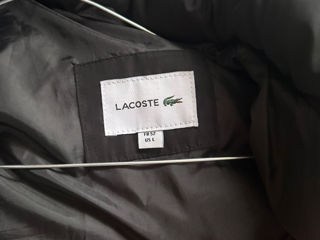 Lacoste foto 4