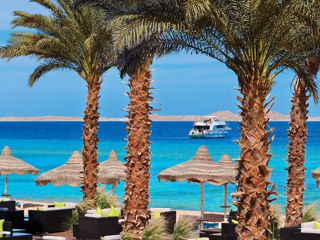 Egypt! Sharm!  "Baron Resort" 5*! С 09.12! foto 7