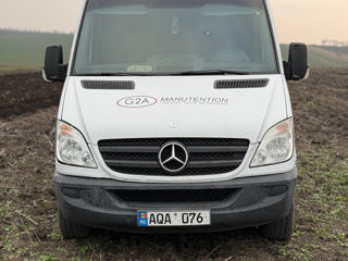 Mercedes Sprinter (delfin)