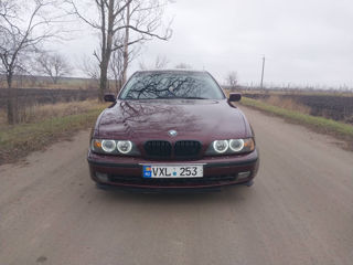 BMW 5 Series foto 5