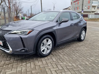 Lexus UX foto 7