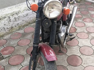 Jawa Jawa foto 2