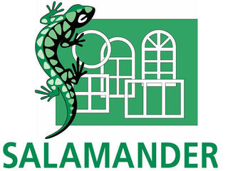 Geamuri de cea mai inalta calitate! (Salamander) 100% din Germania! foto 2