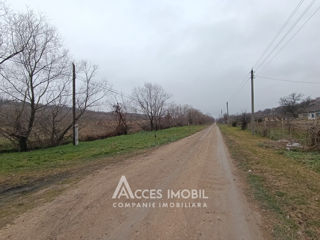 Lot de teren agricol, 244 ari. Dolinnoe, Valea Coloniței! foto 5