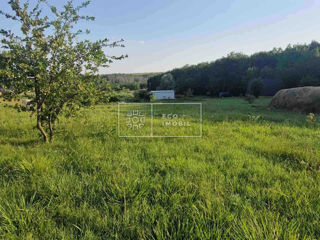 Vânzare, teren agricol, în raionul Căușeni, satul Grigorievca, 120 ha, 579000 euro foto 7