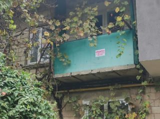 1-rm apt., 19 м², 2/2 fl.