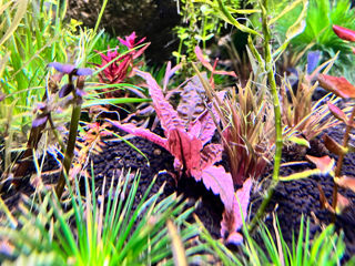 Грунт для аквариума Соил fluval stratum soil 4кг foto 4